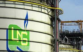  NLNG Supplied 275000mt to Nigerian LPG Market in 2019